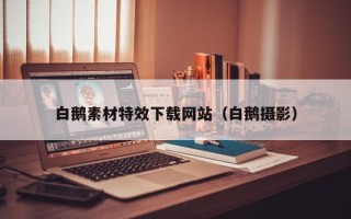 贵州白鹅素材特效下载网站（白鹅摄影）